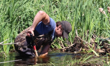 Person removing a beaver dam