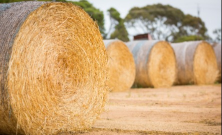 Twine and Grain Bag Recycling